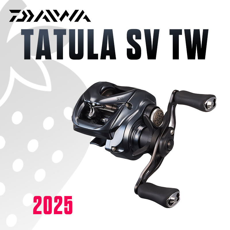 ダイワ 2025 タトゥーラ SV TW100 フィッシング - Daiwa Reel Bg のレビューと価格